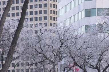 Similar image 7979550