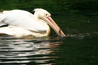 Similar image 7979551