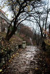 Similar image 7979553