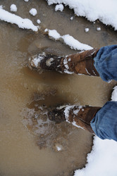 Similar image 7979554