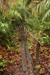 Similar image 7979555