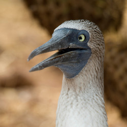 Similar image 7979557