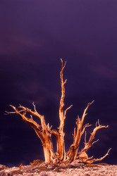 Similar image 7979578