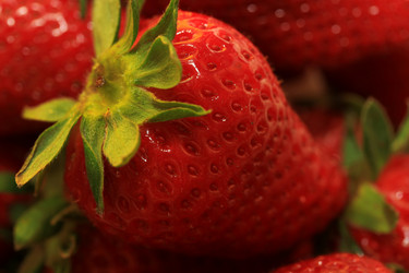 Similar image 7979585