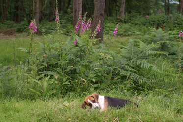 Similar image 7979586