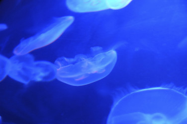 Similar image 7979588