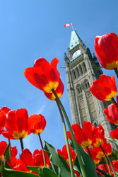 Similar image 7979595