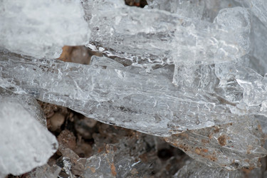 Similar image 7979602