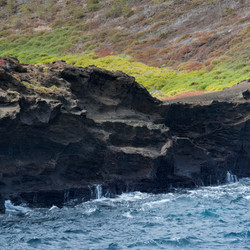 Similar image 7979603