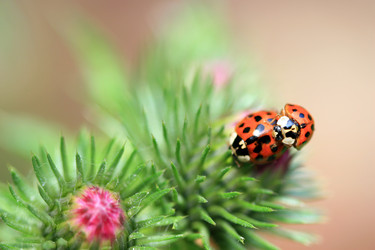 Similar image 7979605