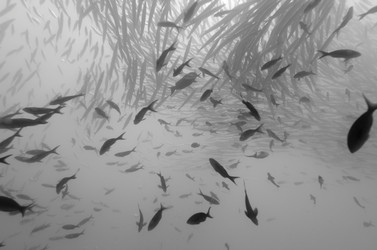 Similar image 7979617