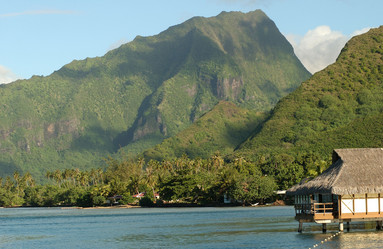 Similar image 7979623