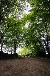 Similar image 7979625