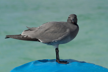 Similar image 7979626