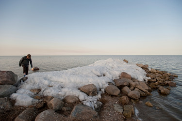 Similar image 7979628