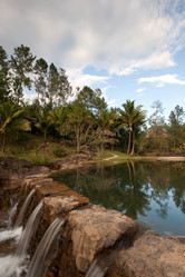 Similar image 7979631