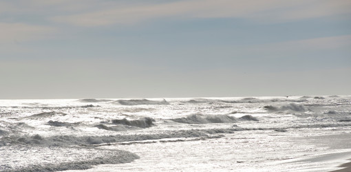 Similar image 7979635