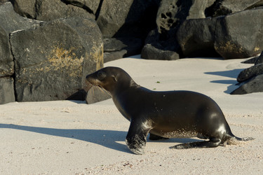 Similar image 7979644