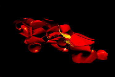 Similar image 7979648