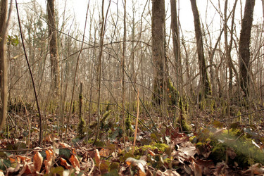 Similar image 7979649