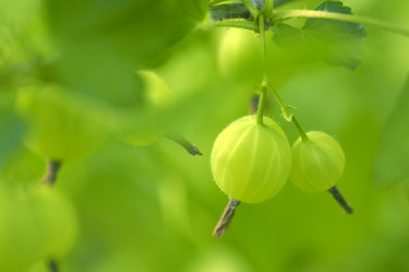 Similar image 7979668