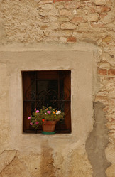 Similar image 7979671