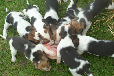 Similar image 7979678