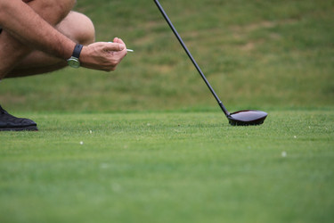 Similar image 7979680