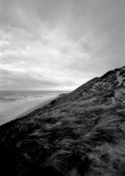 Similar image 7979681