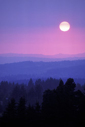 Similar image 7979686