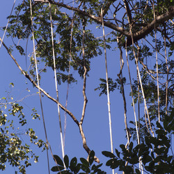 Similar image 7979687