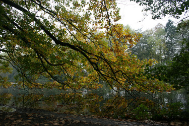 Similar image 7979692