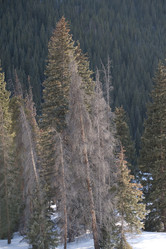 Similar image 7979700