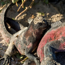 Similar image 7979701