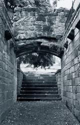 Similar image 7979707