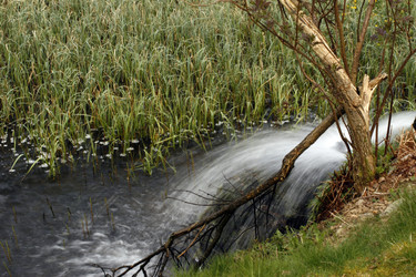 Similar image 7979728