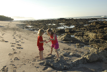 Similar image 7979733