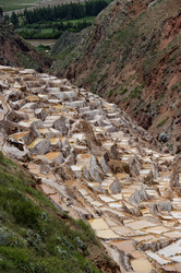 Similar image 7979743