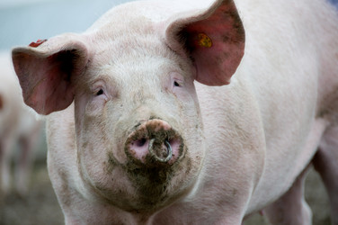 Similar image 7979750