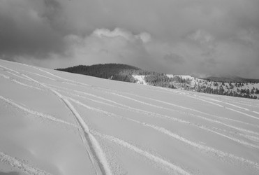 Similar image 7979751