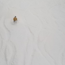 Similar image 7979752