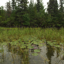 Similar image 7979753