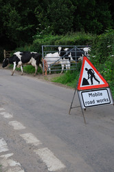 Similar image 7979754