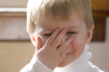 Similar image 7979755