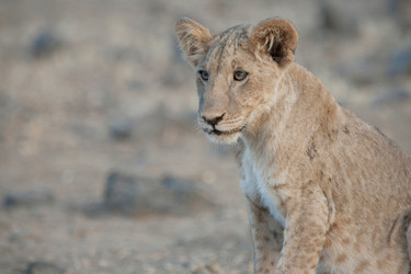 Similar image 7979760