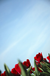 Similar image 7979761