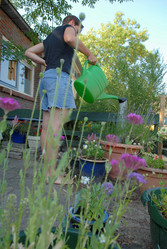 Similar image 7979762