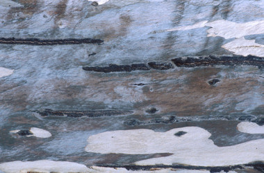 Similar image 7979768