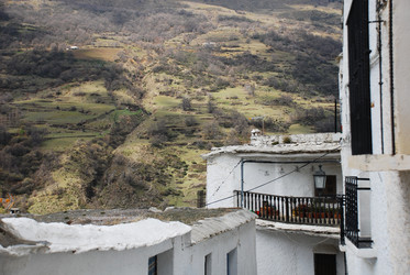 Similar image 7979769