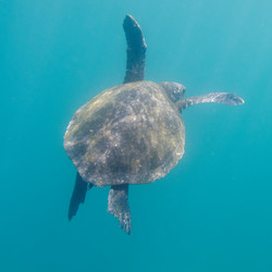 Similar image 7979776